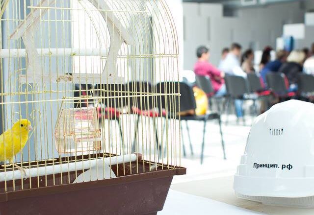  ЖК "Малевич"