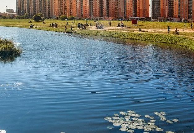 «Новый Оккервиль»