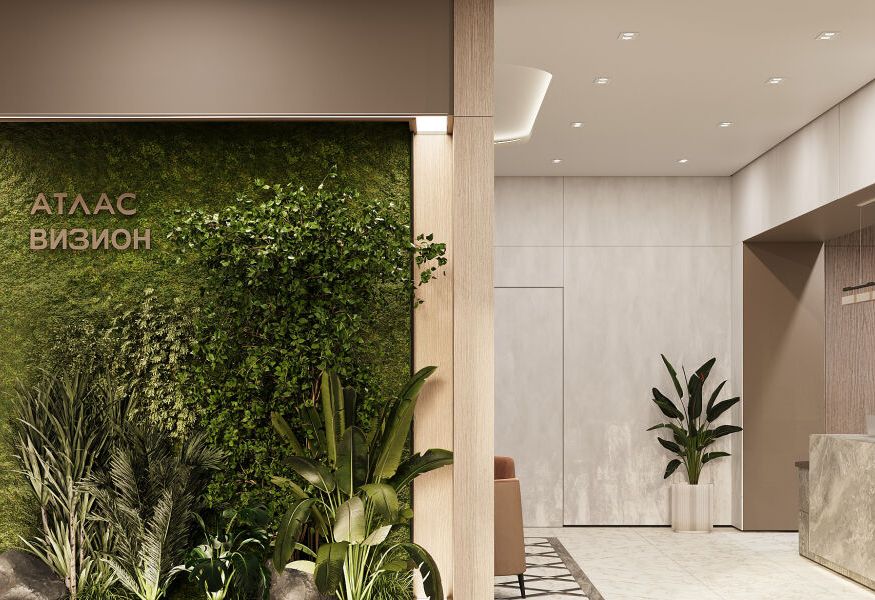 Атлас Визион