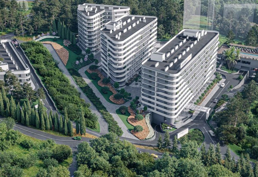 Cosmos Stay Hidden Yalta