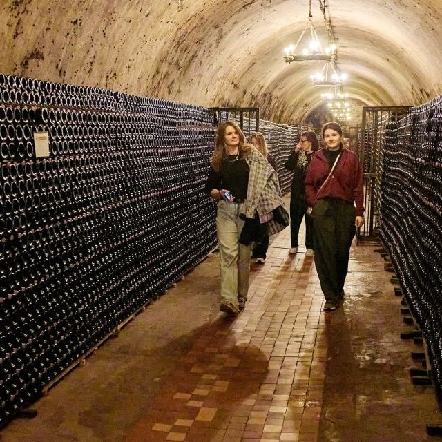 Пресс-тур по югу России - фото 10